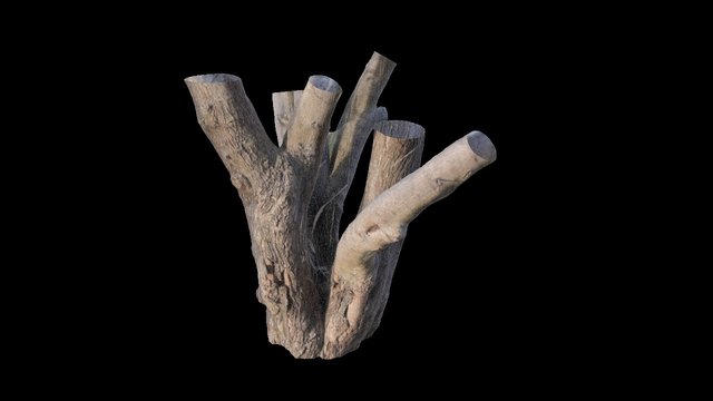 43°34'32.5"N 79°42'32.1"W 3D Model