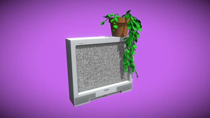 TV NOISE 3D Model