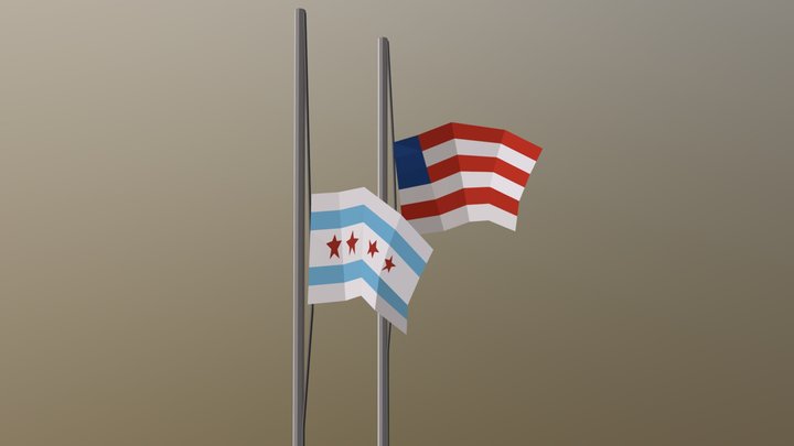 Flags 3D Model