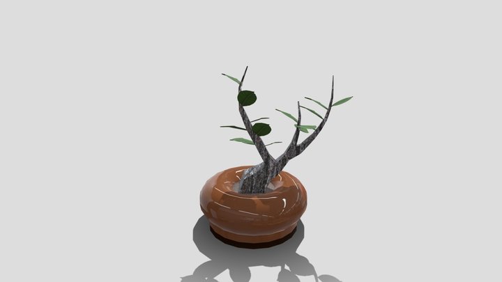 plant 3D Model