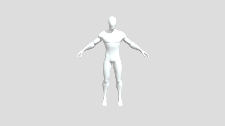 身體視圖 3D Model
