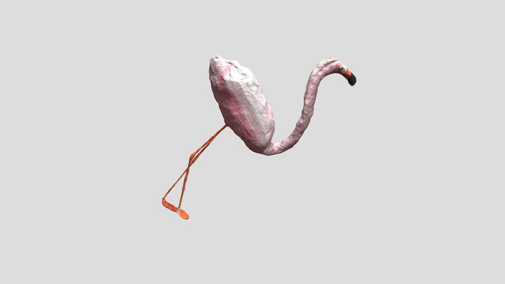 Flamingo 15 3D Model