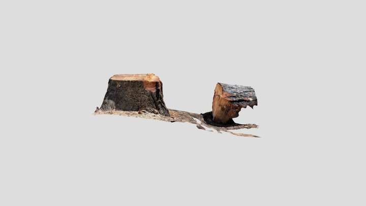 Tree Stump 002 3D Model