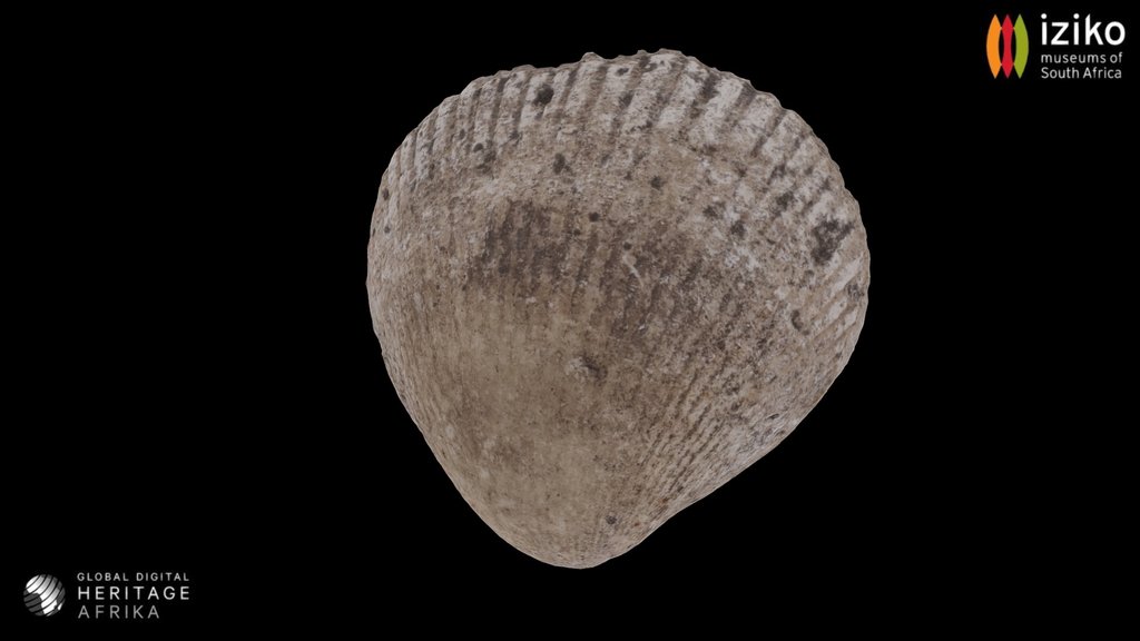 Shell