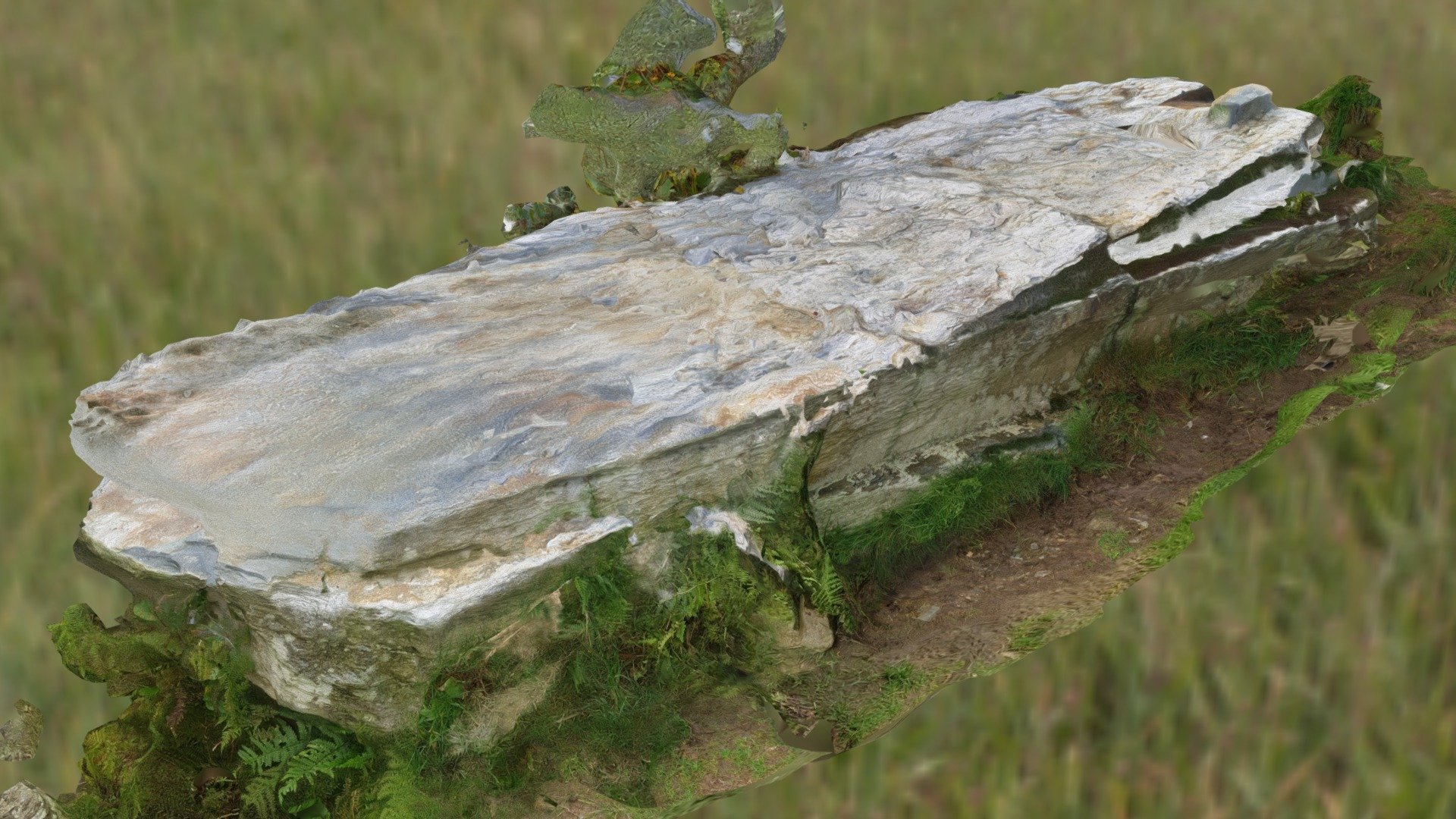 Preseli Stone