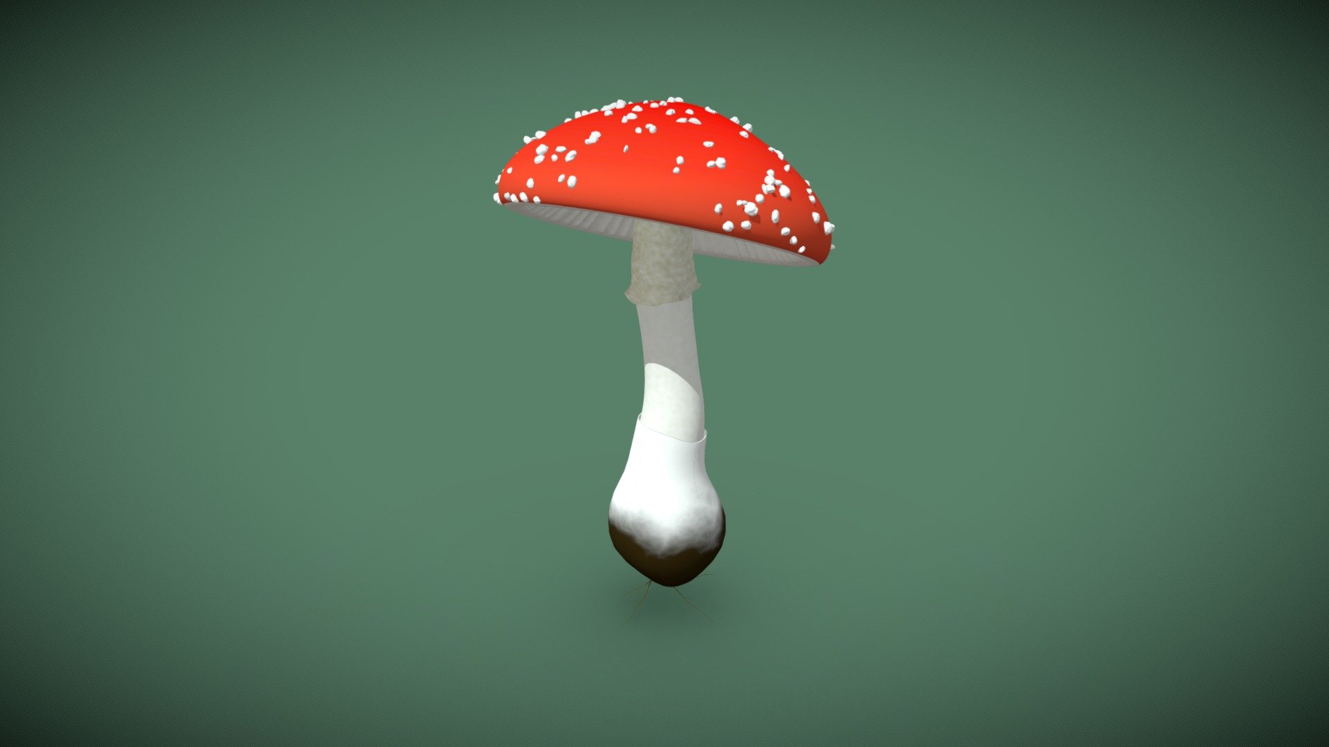 Cogumelo Amanita Muscaria