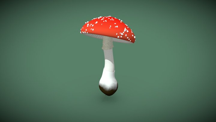 Cogumelo Amanita Muscaria 3D Model