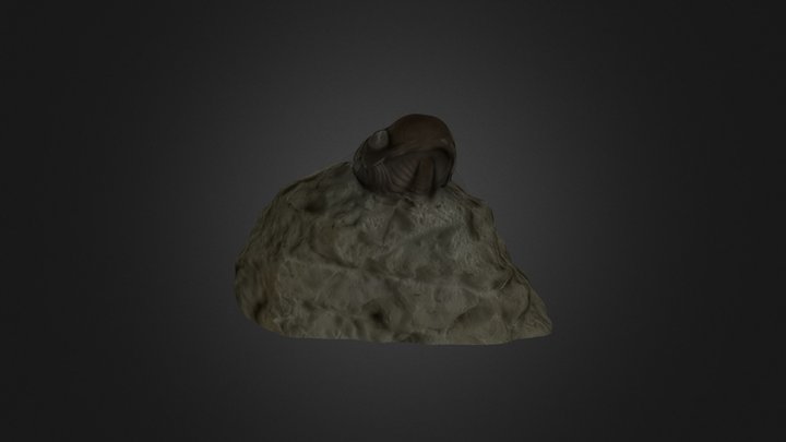 Trilobite fossil 3D Model
