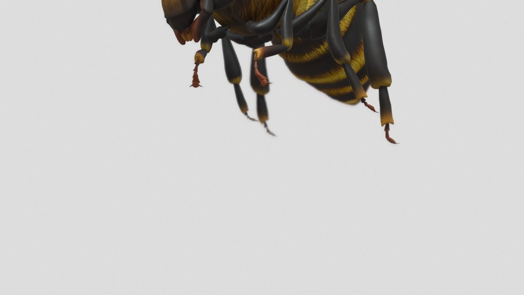 Flying Bee