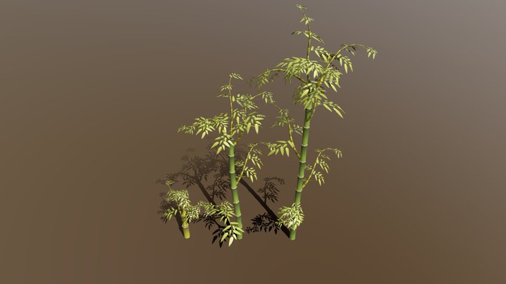 Bamboo 3D Model