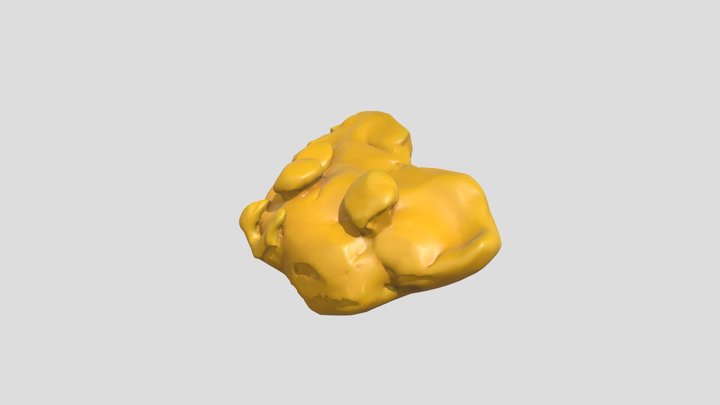 golden labrador – Modello 3D gratuito STL