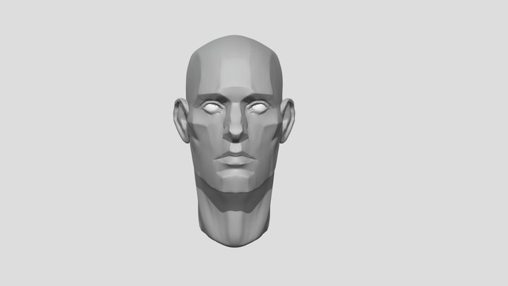 Asaro Head 3D Model