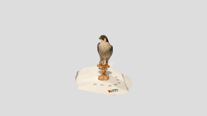 Falcon 2 NMI 3D Model