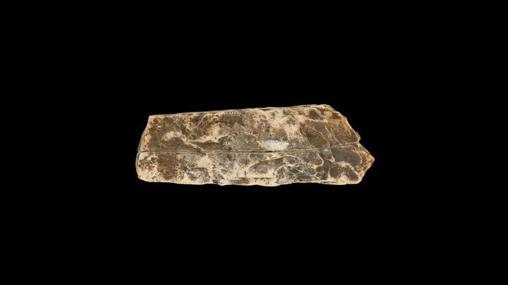 Bipolar core on ivory fragment (Medzhybizh A) 3D Model