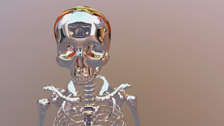 Skelecan 3D Model