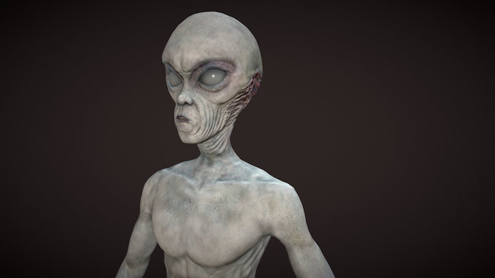 Alien Sketch Fab 3D Model