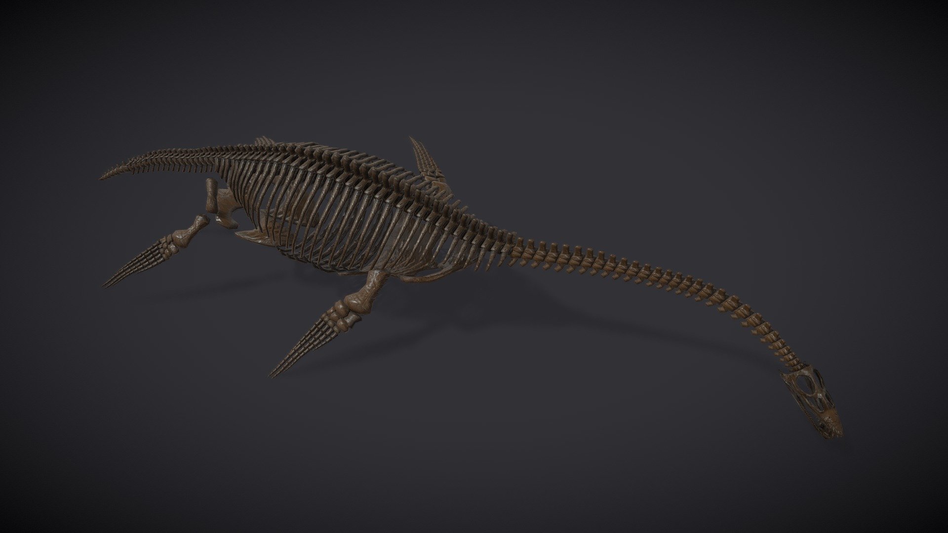 プレシオサウルス (Plesiosaurus) | 恐竜大百科