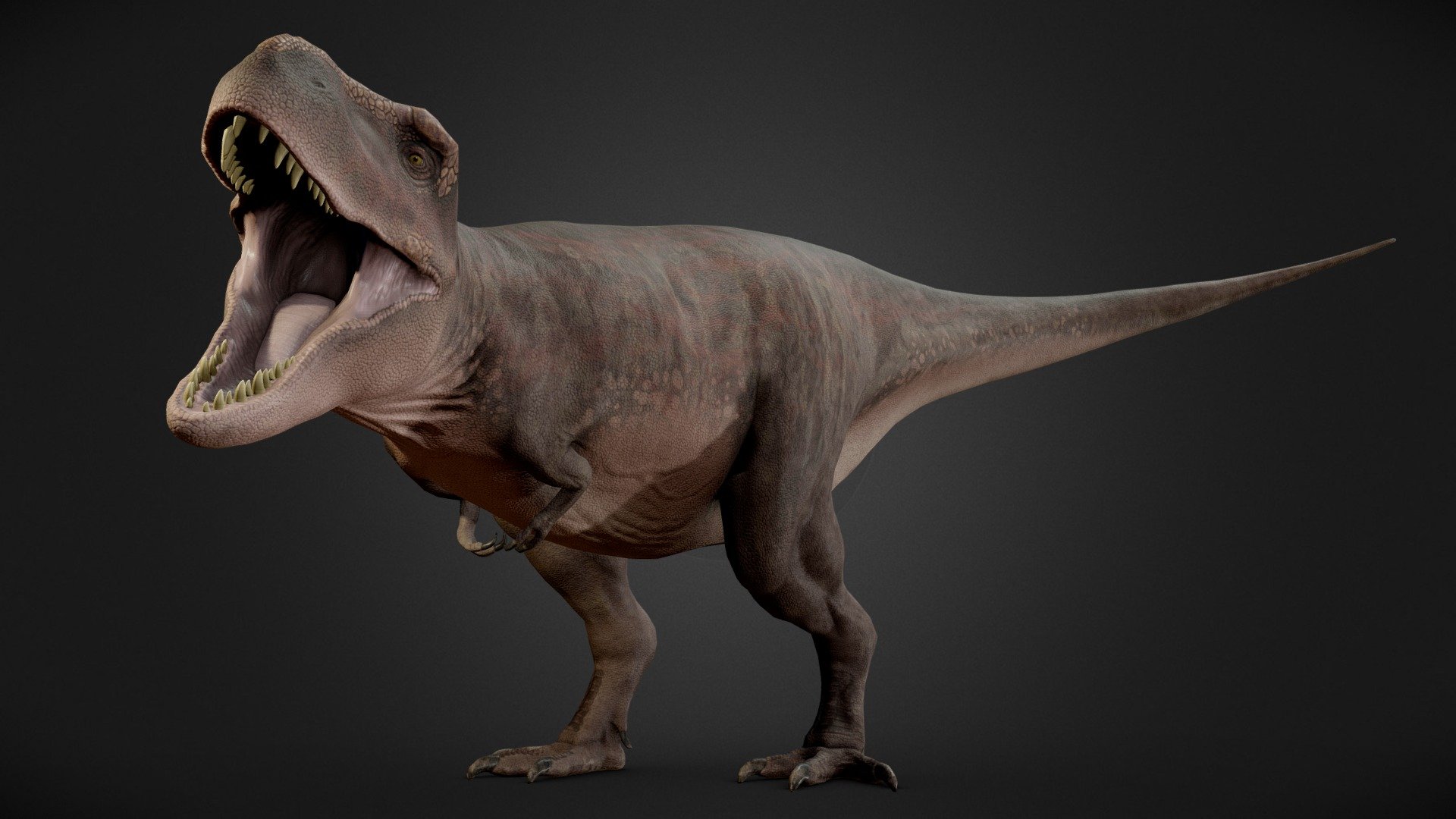 ArtStation - Tyrannosaurus Rex Trex Dinosaur 3D Monster Animal