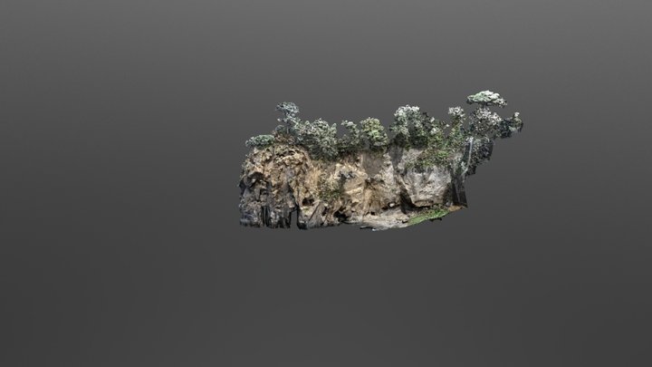 mesh golfo del Pecoriello vers.2 3D Model