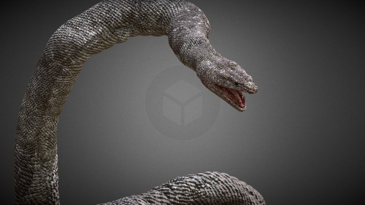 White Snake 3D Model