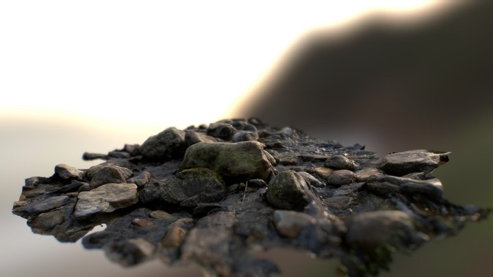 Stones in the stream 3D Model