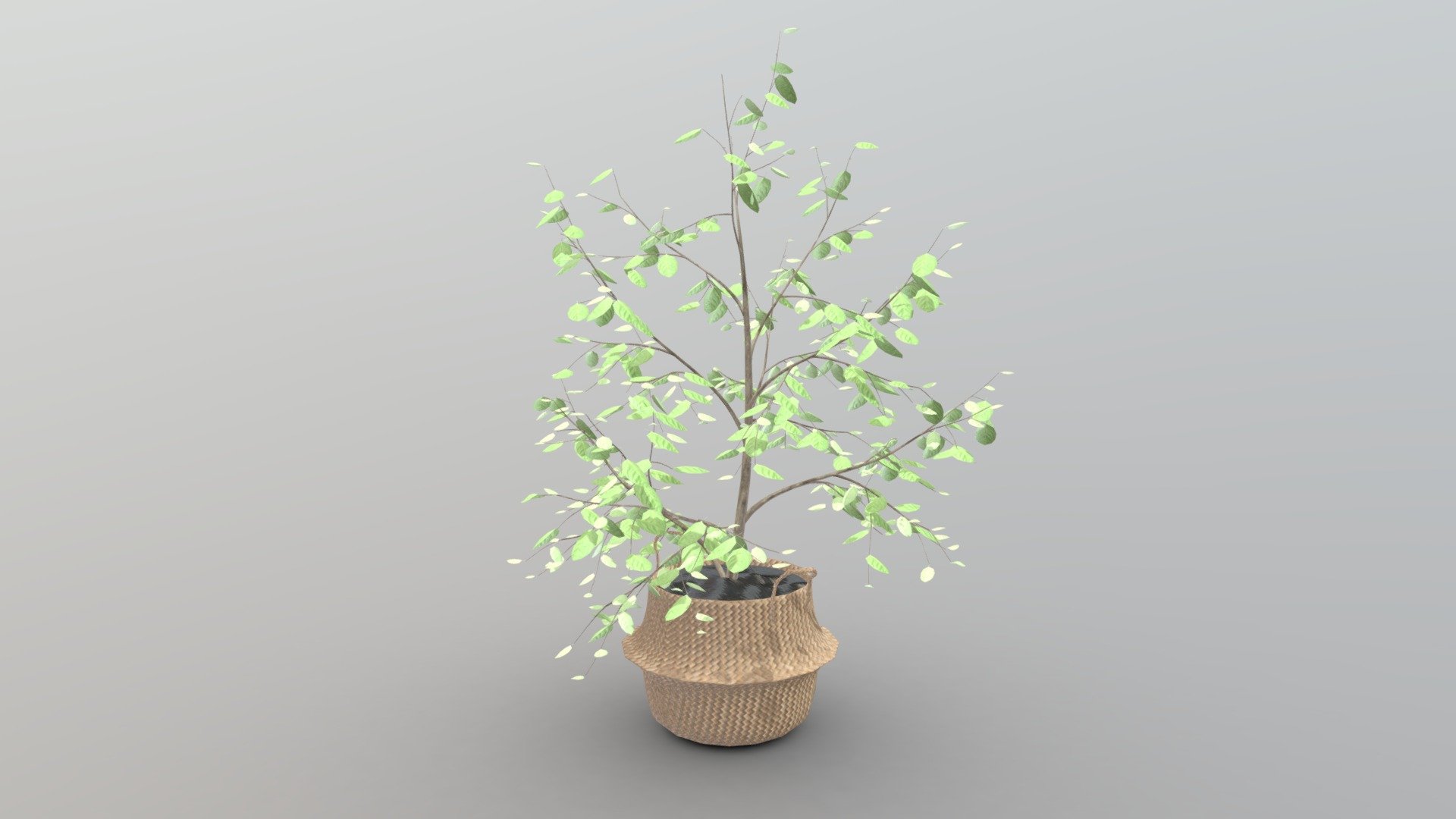 Tree Seaweed Basket - Buy Royalty Free 3D model by interior model ...