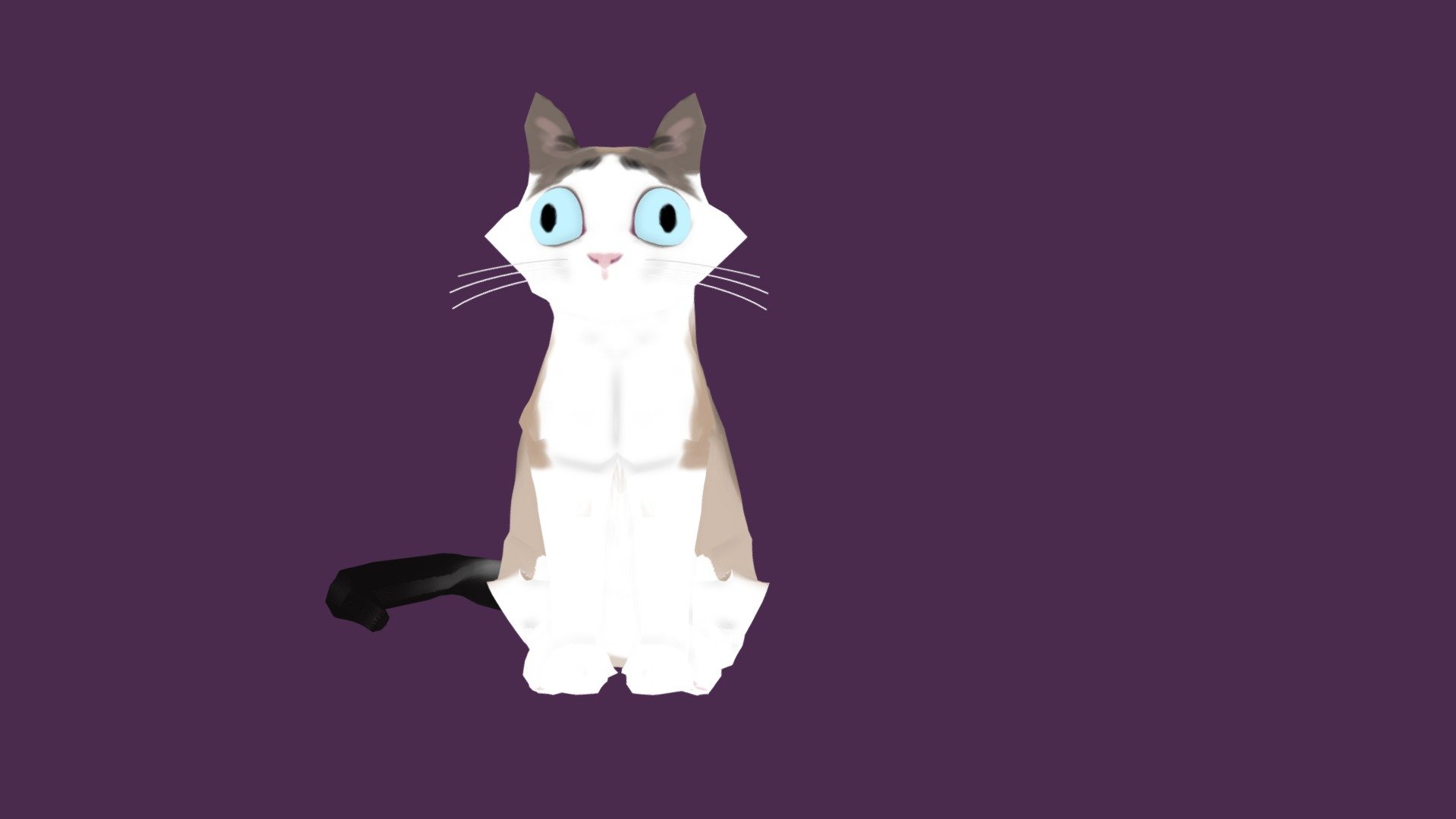 3December - Animal