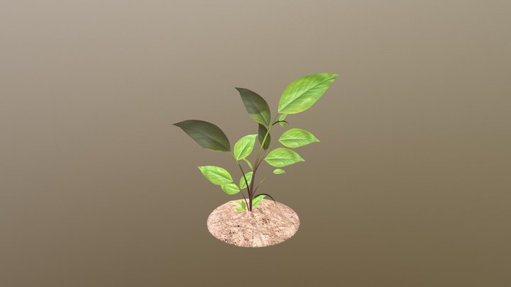 Plant FBX 3D Model