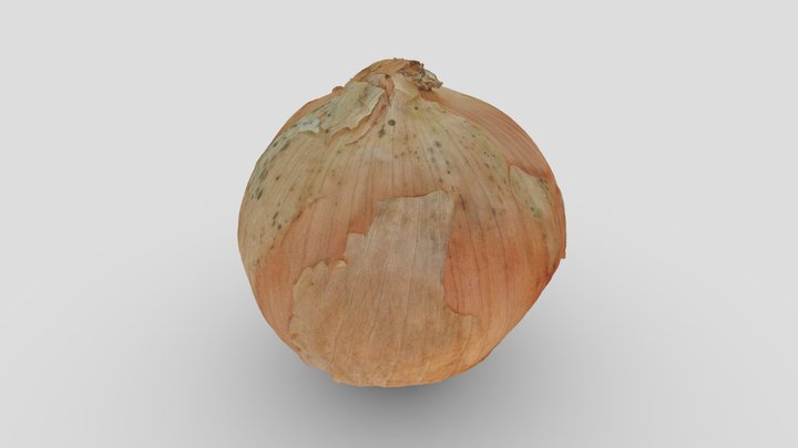 Onion(3d Scan) 3D Model