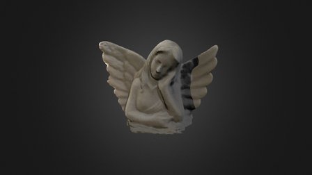 Angel Test 3D Model
