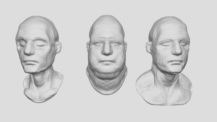 HEAD 3D Model