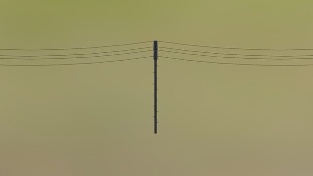 Utility Poles for Cities Skylines 3D Model