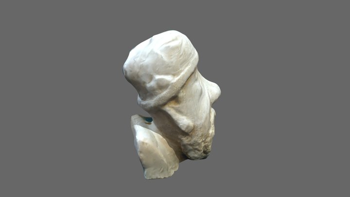 nidup_obj 3D Model