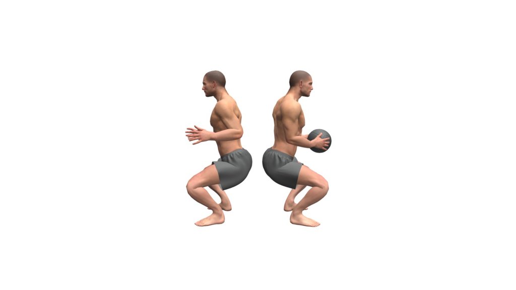 Gym Partner Squat Ball Rotations - 3D model by gymsterapp [bac9d0f ...