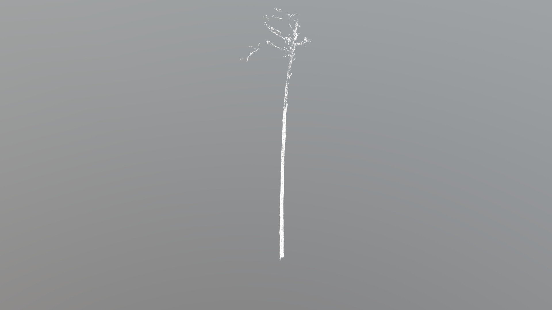 AEP02-tree_109.wood.ply