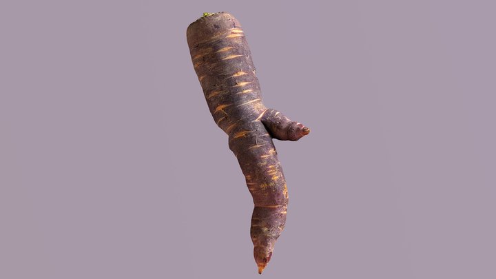 Mandrake Carrot 4 3D Model