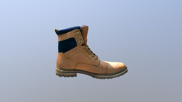Shoe 3D Model