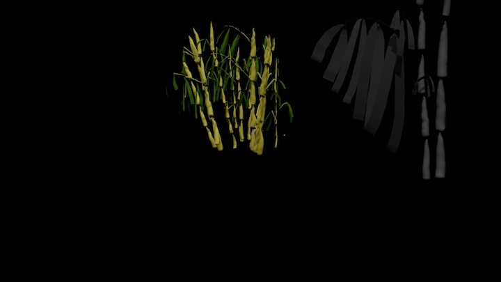 ink brush bamboo 3D Model