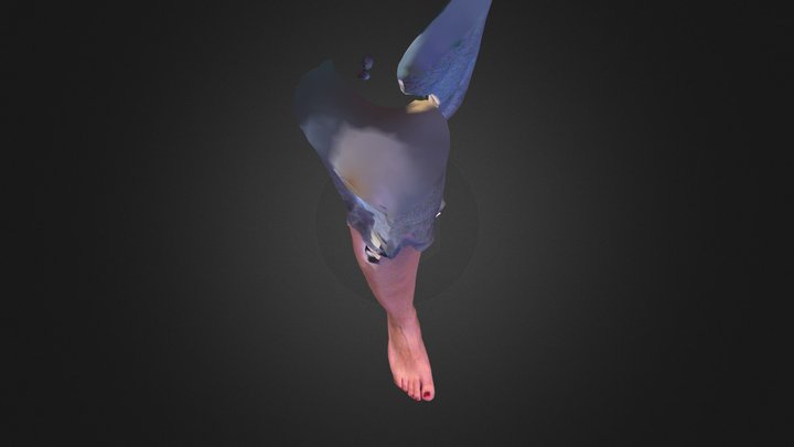 Foot 2 3D Model