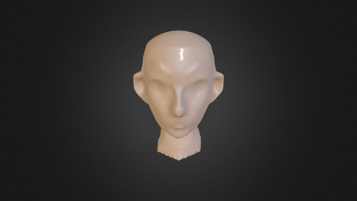 My model 3D Model