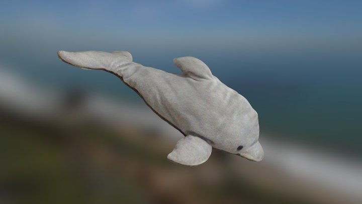 sea world dolphine 3D Model