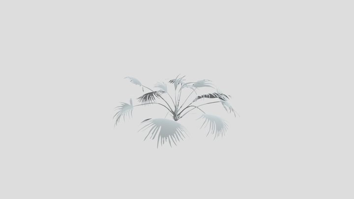 Chinese Palm Wide – Modello 3D gratuito STL
