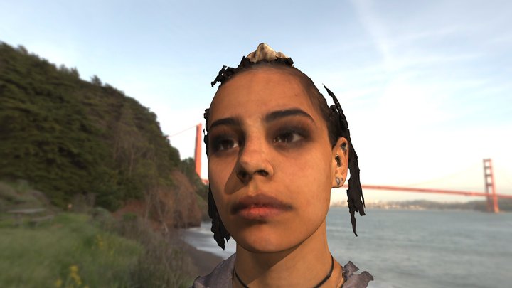 Valkyrie 3D Model