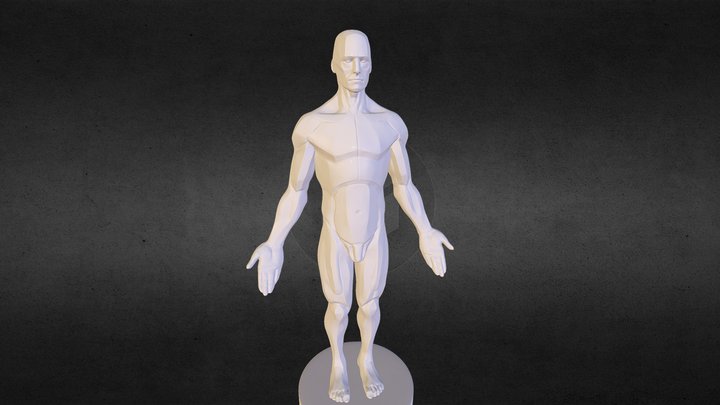 Anatomical References (WIP) 3D Model