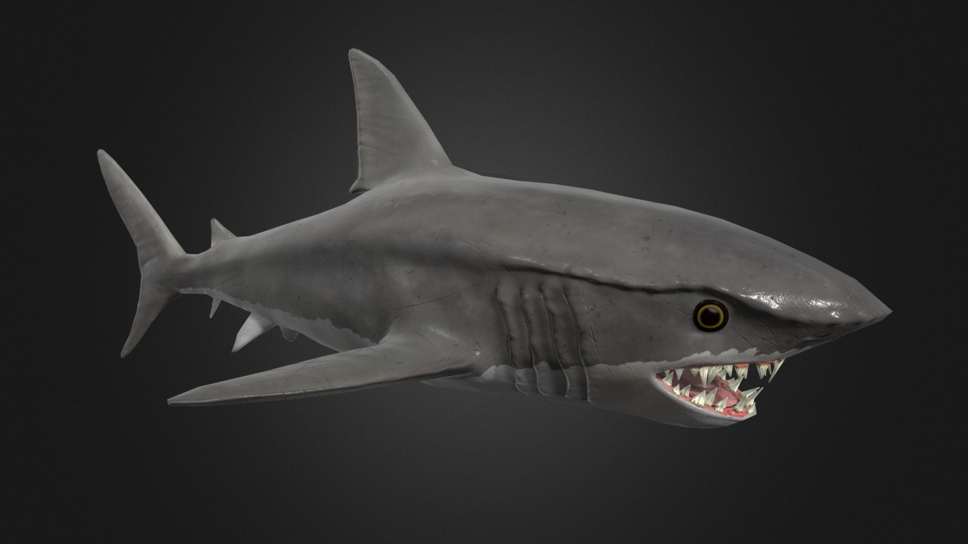 ArtStation - Shark