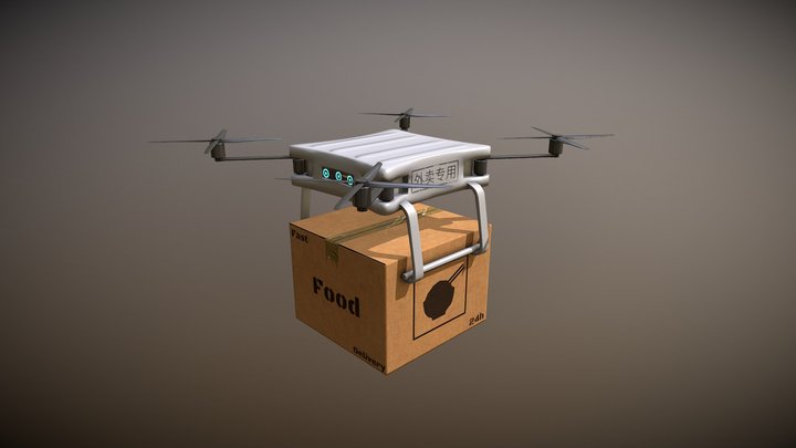 DeliveryDrone 3D Model