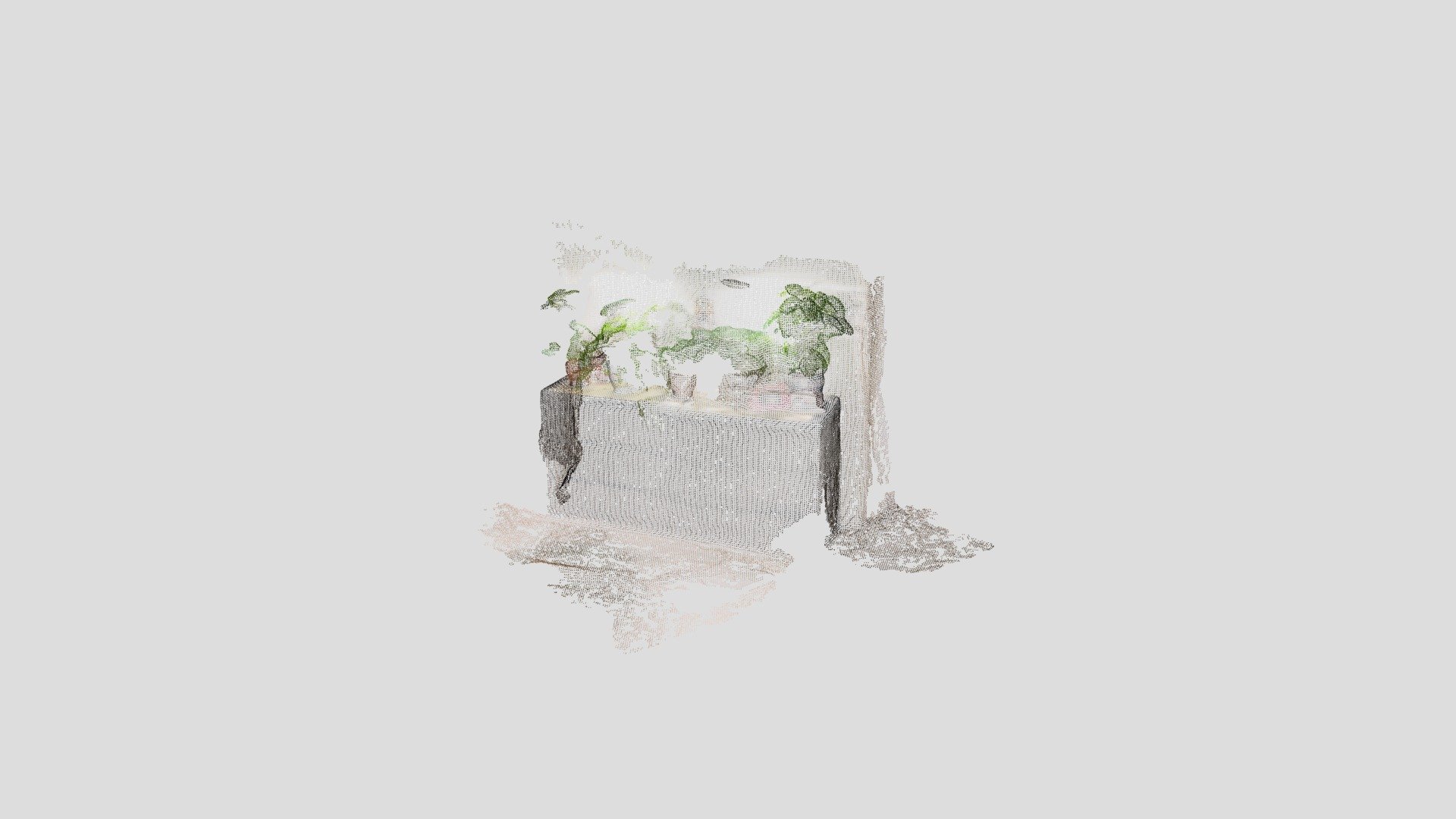 plants 02