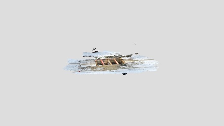 Untitled Scan 3D Model