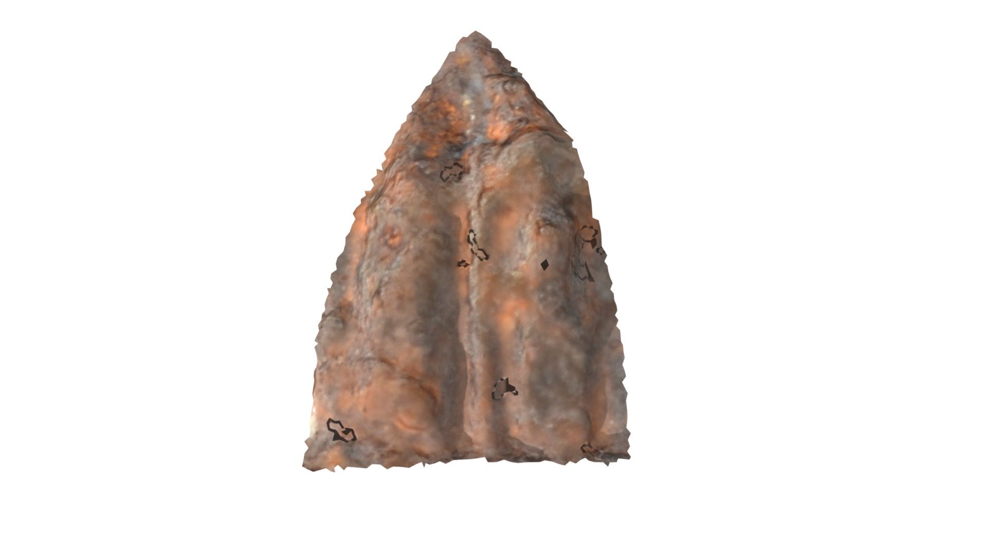 C1 - aurochs MNIR