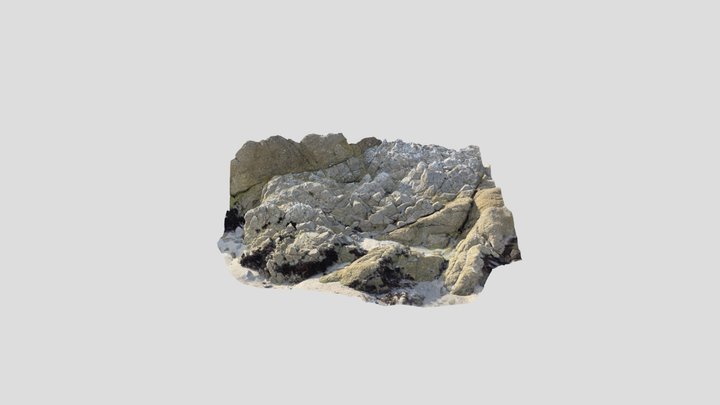 Beach Wall 1 3D Model
